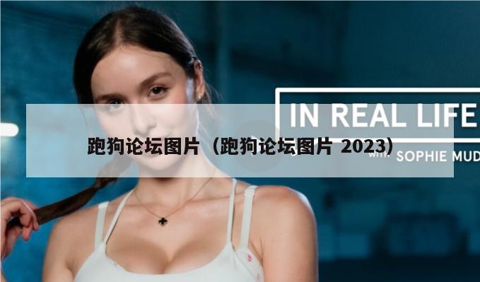 跑狗论坛图片（跑狗论坛图片 2023）