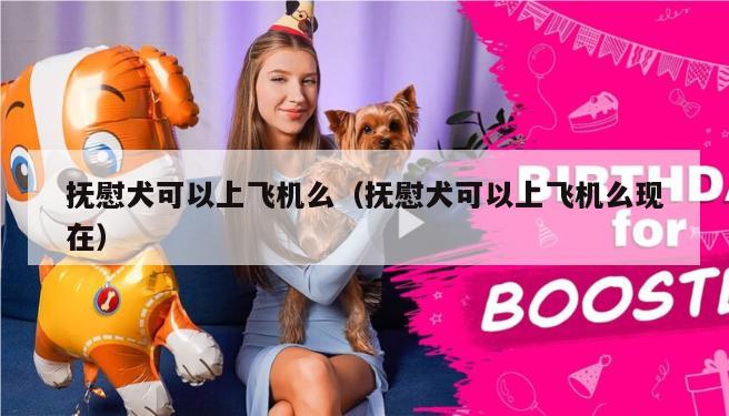 抚慰犬可以上飞机么（抚慰犬可以上飞机么现在）