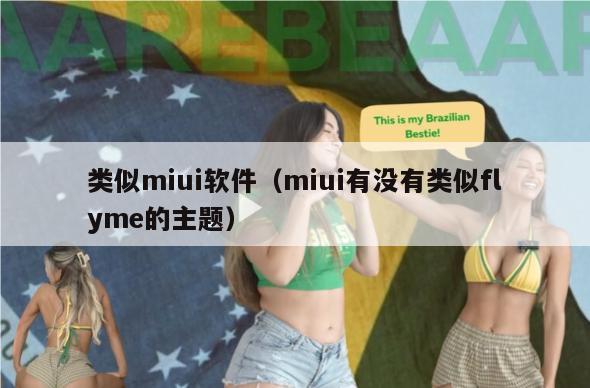 类似miui软件（miui有没有类似flyme的主题）