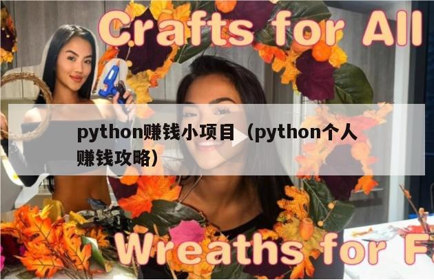 python赚钱小项目（python个人赚钱攻略）