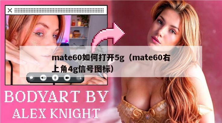 mate60如何打开5g（mate60右上角4g信号图标）