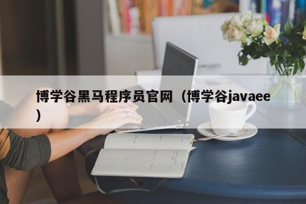 博学谷黑马程序员官网（博学谷javaee）