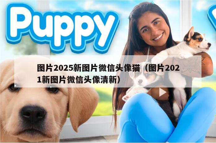 图片2025新图片微信头像猫（图片2021新图片微信头像清新）