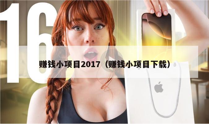 赚钱小项目2017（赚钱小项目下载）