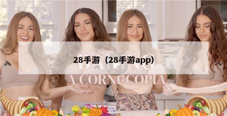 28手游（28手游app）