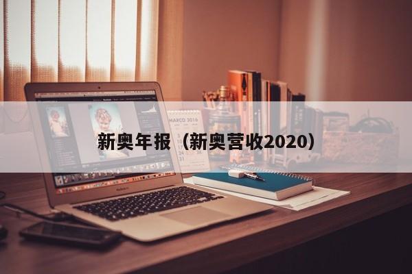 新奥年报（新奥营收2020）