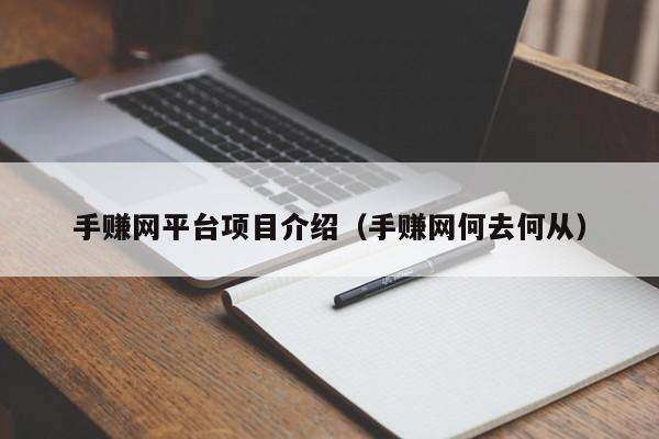 手赚网平台项目介绍（手赚网何去何从）