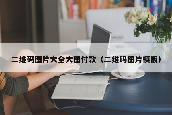 二维码图片大全大图付款（二维码图片模板）