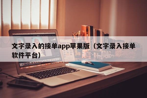 文字录入的接单app苹果版（文字录入接单软件平台）