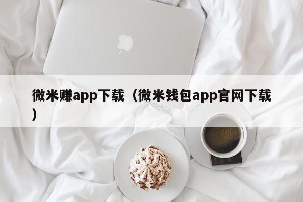 微米赚app下载（微米钱包app官网下载）