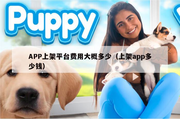 APP上架平台费用大概多少（上架app多少钱）