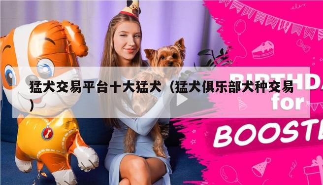 猛犬交易平台十大猛犬（猛犬俱乐部犬种交易）