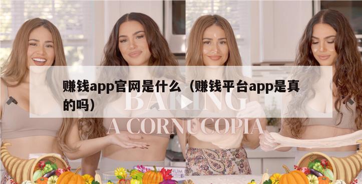 赚钱app官网是什么（赚钱平台app是真的吗）