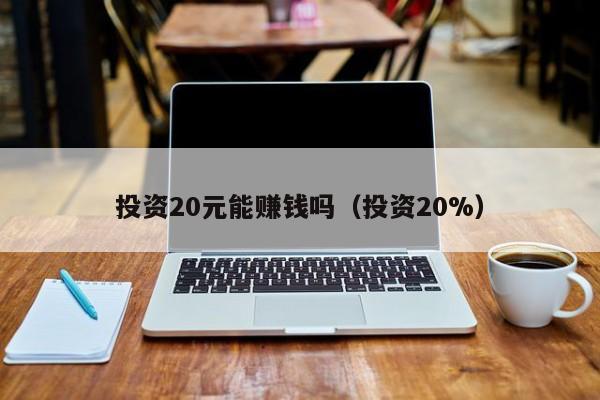 投资20元能赚钱吗（投资20%）