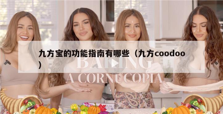 九方宝的功能指南有哪些（九方coodoo）