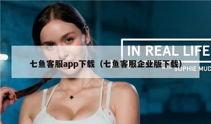 七鱼客服app下载（七鱼客服企业版下载）