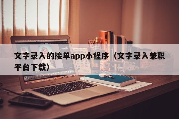 文字录入的接单app小程序（文字录入兼职平台下载）