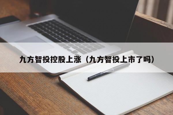 九方智投控股上涨（九方智投上市了吗）