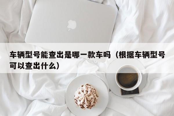 车辆型号能查出是哪一款车吗（根据车辆型号可以查出什么）