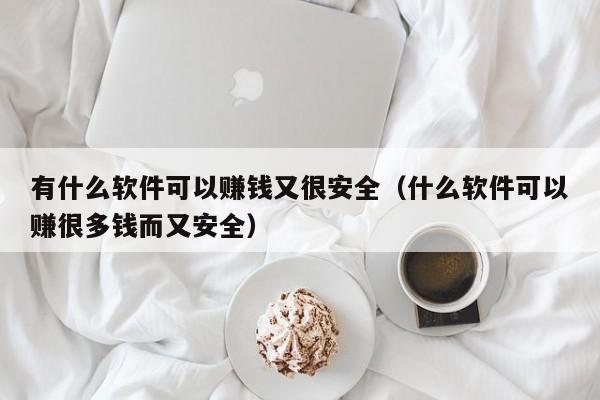 有什么软件可以赚钱又很安全（什么软件可以赚很多钱而又安全）