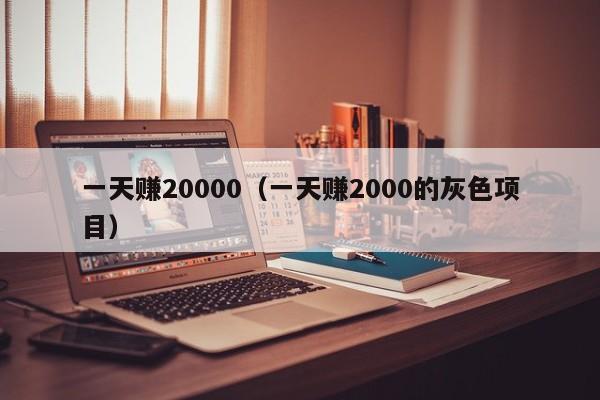 一天赚20000（一天赚2000的灰色项目）