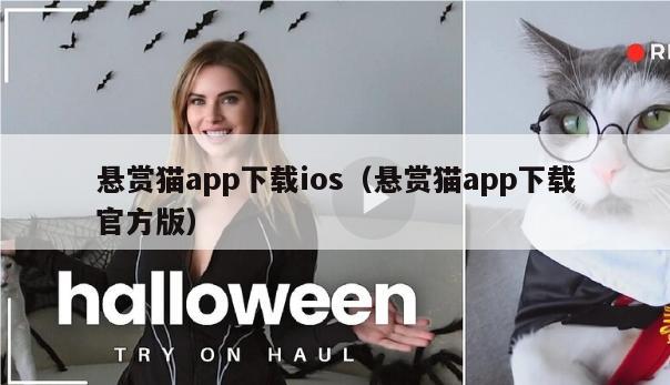 悬赏猫app下载ios（悬赏猫app下载官方版）